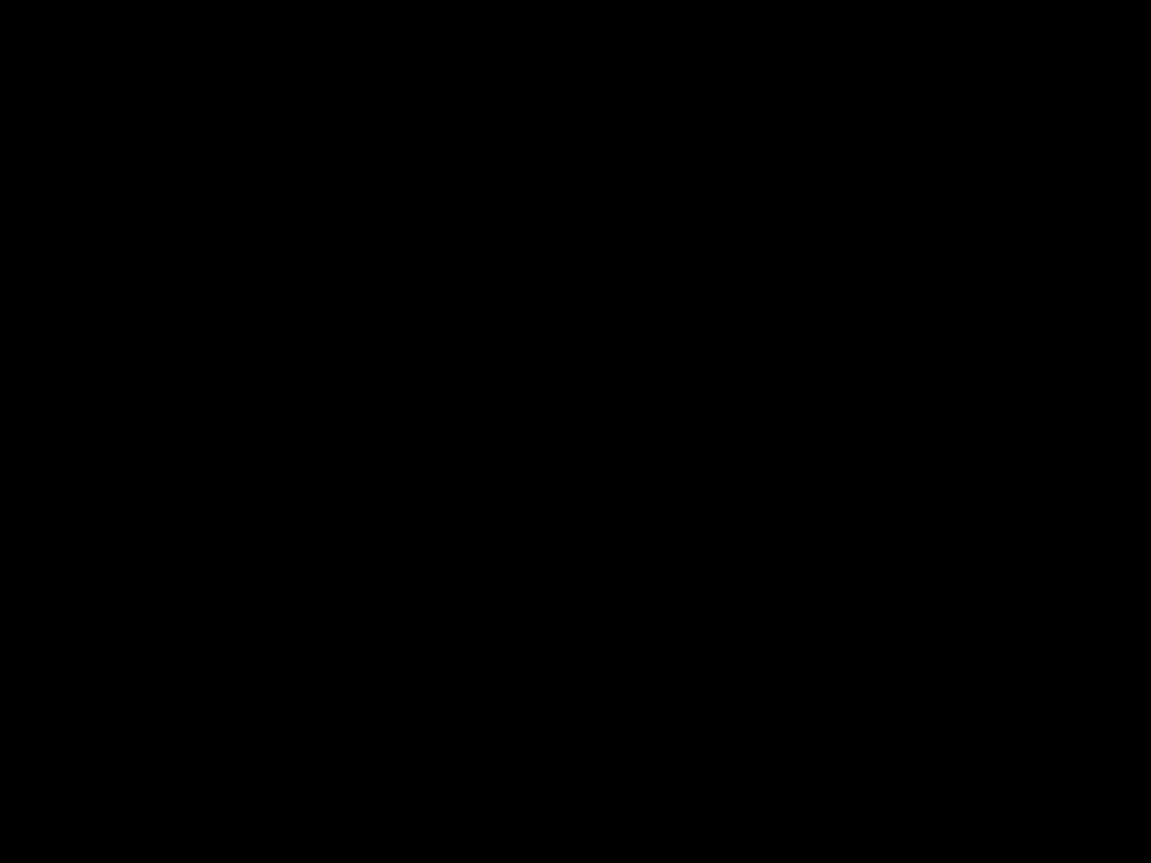Profile picture of A