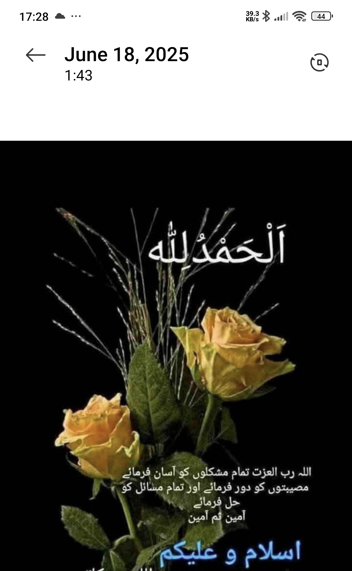 Profile picture of British born Pakistani Muslim