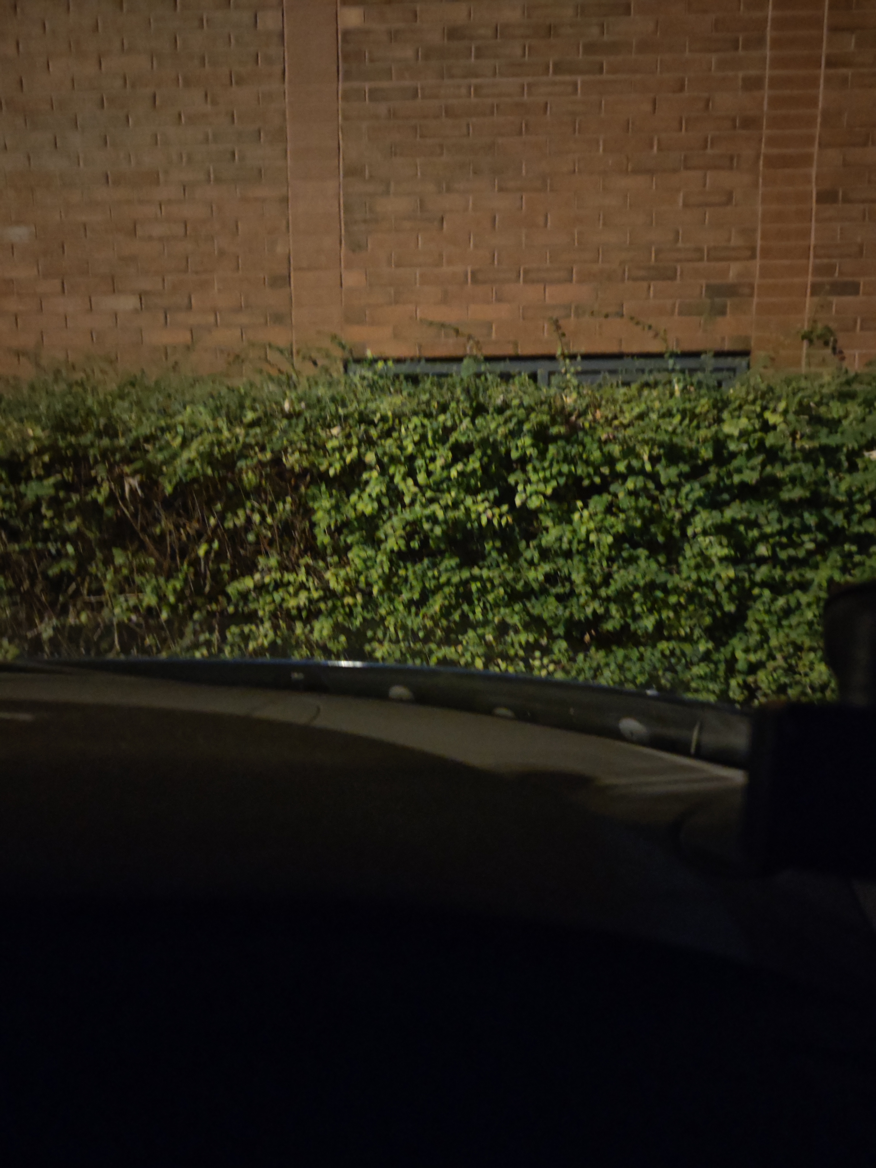 Profile picture of Adam