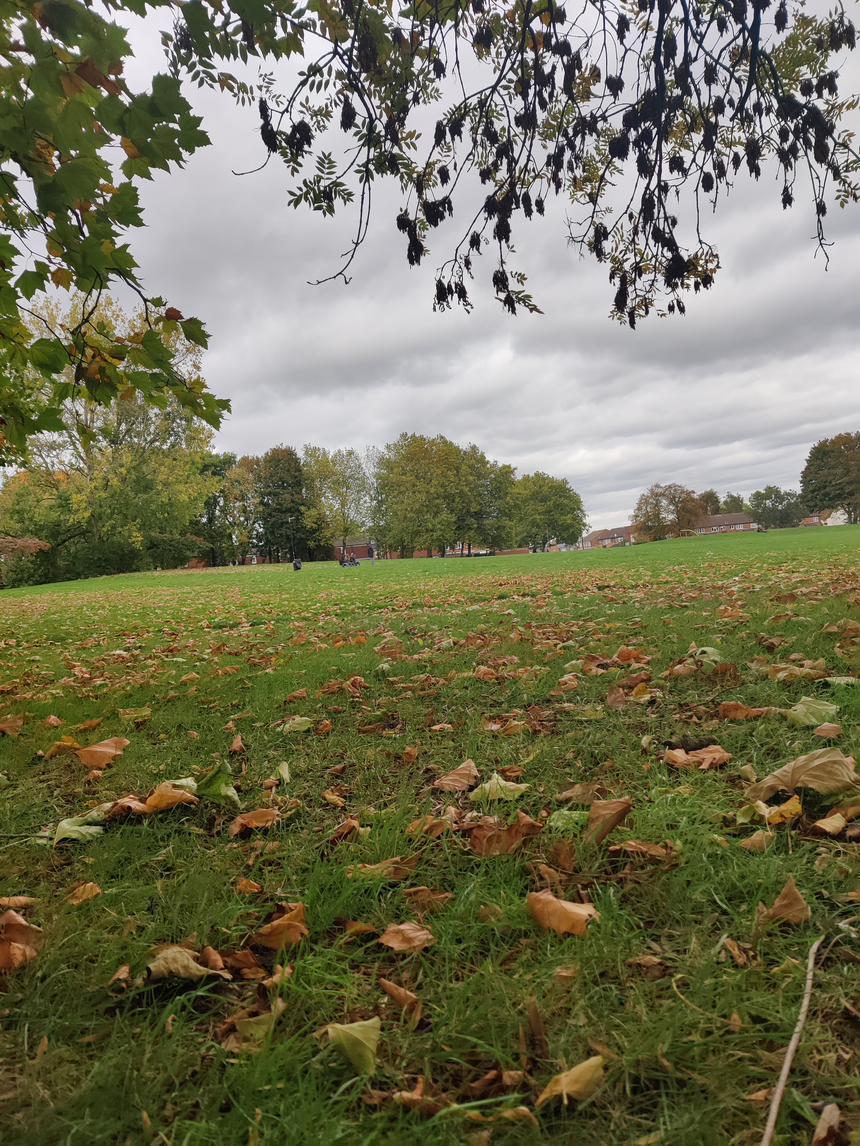 Profile picture of Tamer